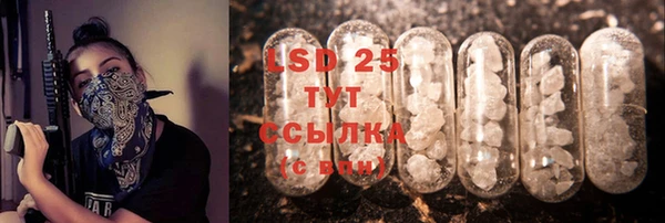 индика Горно-Алтайск