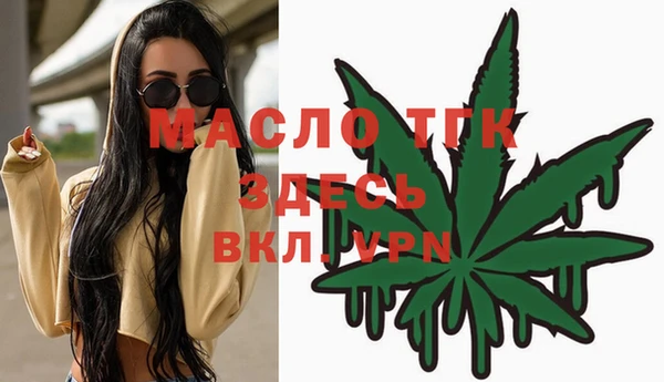 индика Горно-Алтайск