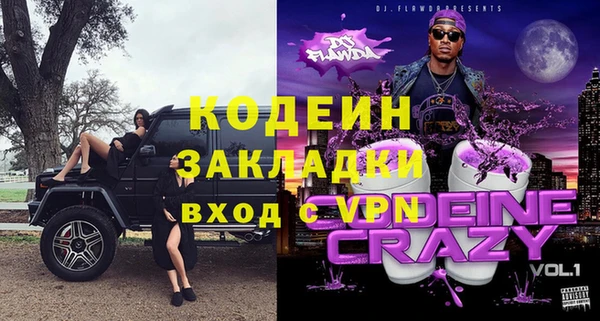 индика Горно-Алтайск