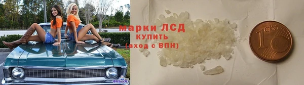 эйфоретик Гусь-Хрустальный