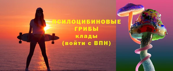 индика Горно-Алтайск