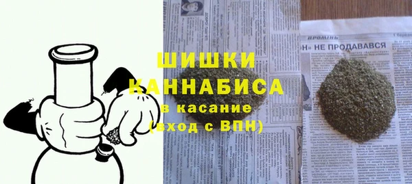 индика Горно-Алтайск
