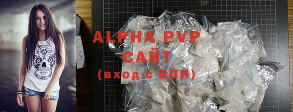индика Горно-Алтайск