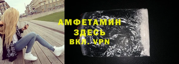 индика Горно-Алтайск