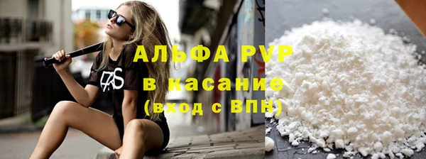 индика Горно-Алтайск